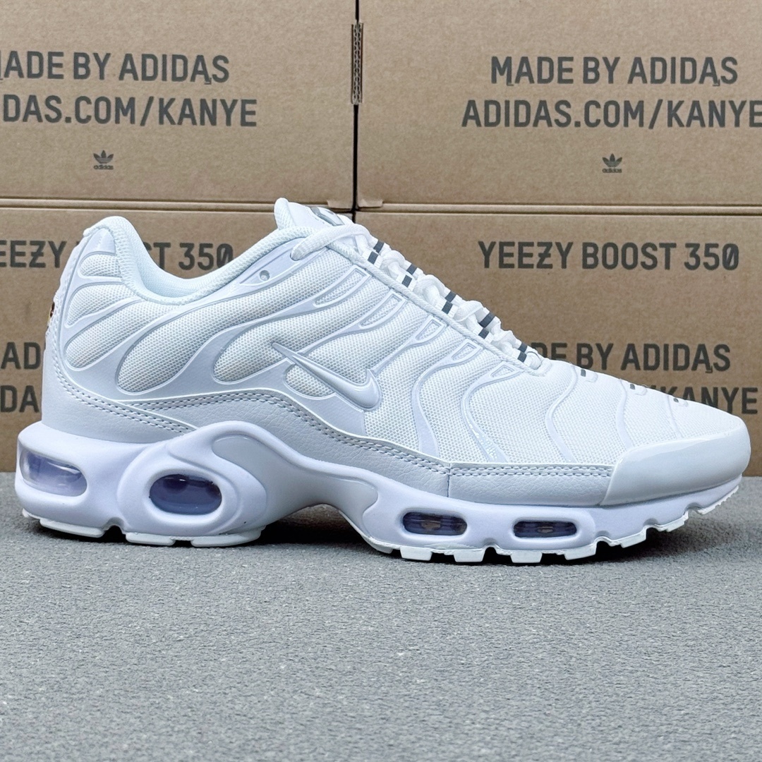 AIR MAX TN PLUS DM2362-100