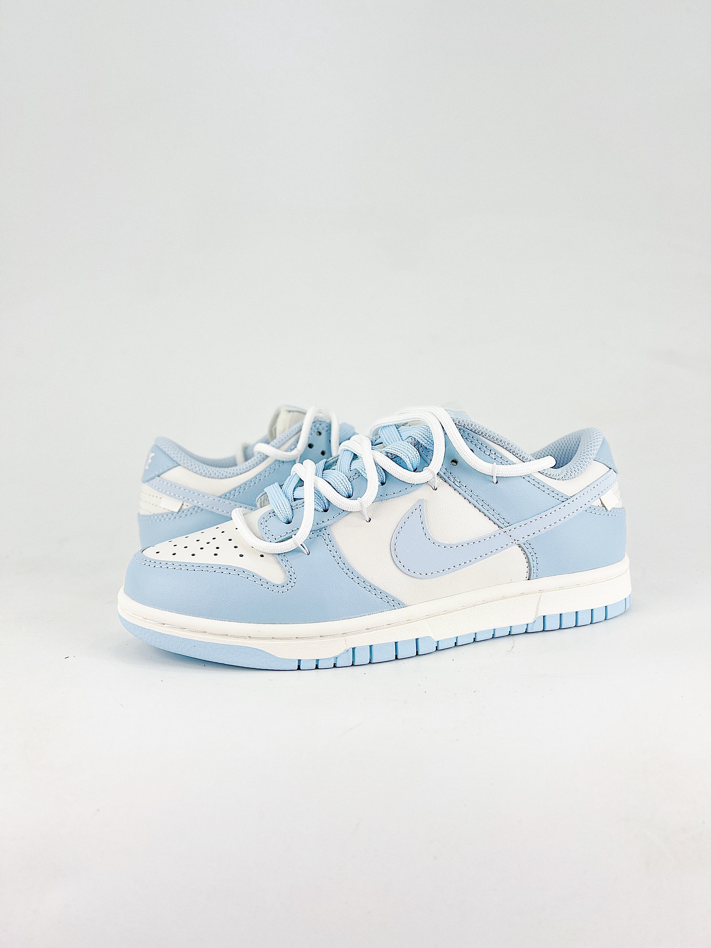 NIKE DUNK SB LOW BW0510 060